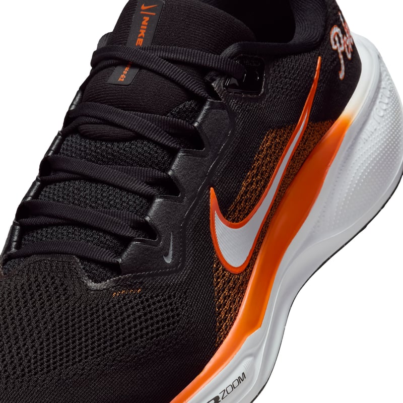 Nike Pegasus 41 FZ5136-002 07