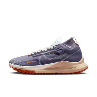 Nike Pegasus Trail 4 GORE-TEX DJ7929-502