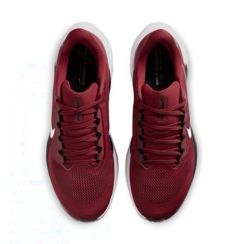 Nike Pegasus 41 FZ5137-601 04