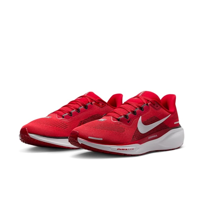 Nike Pegasus 41 FZ5115-600 05