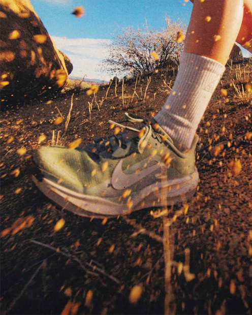 ACG Pegasus