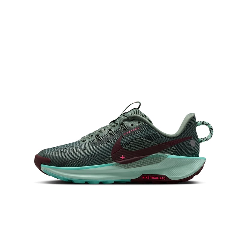 Nike Pegasus Trail 5 FV5638-301 01