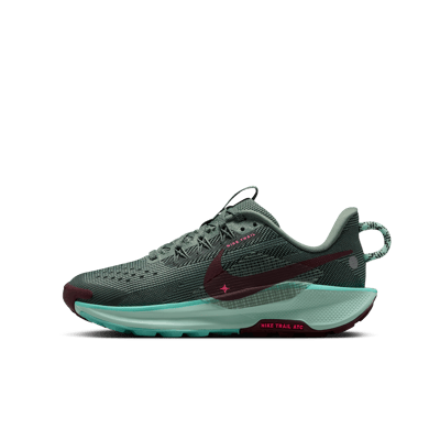 Nike Pegasus Trail 5 FV5638-301