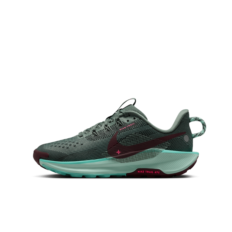 Nike Pegasus Trail 5