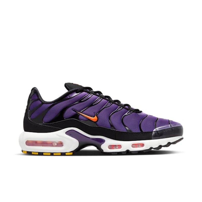 Nike Air Max Plus OG DX0755-500 03