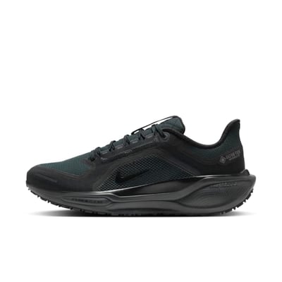 Nike Pegasus 41 GORE-TEX FQ1356-001