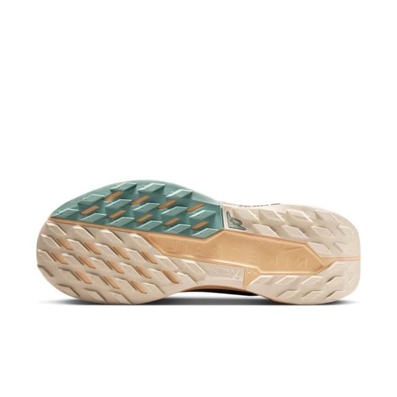 Nike Pegasus Trail 5 GORE-TEX FQ0912-200 02