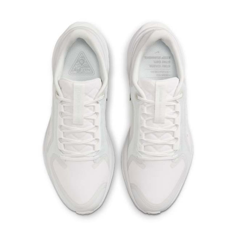 Nike Pegasus 41 GORE-TEX FQ1357-101 04