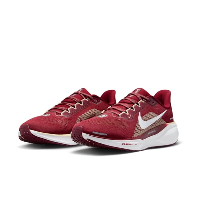 Nike Pegasus 41 FZ5114-600 05