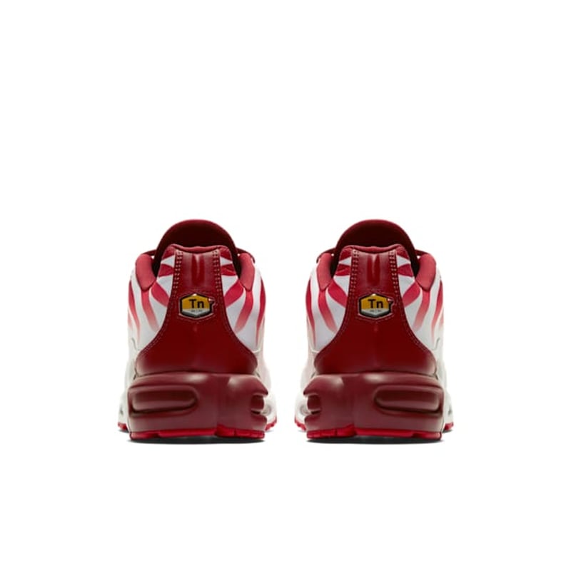 Nike Air Max Plus AQ0237-101 06