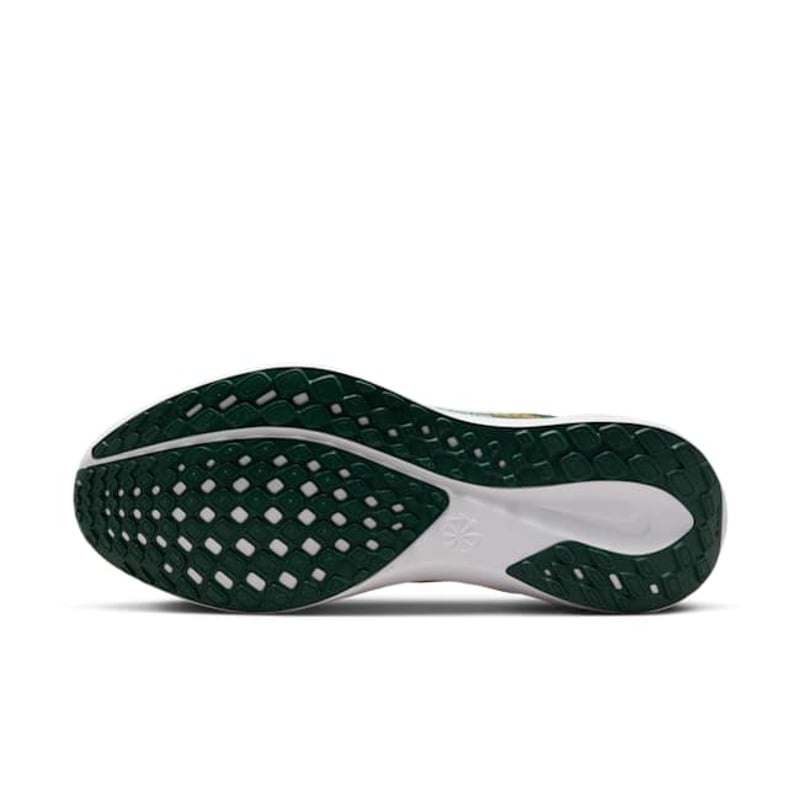 Nike Pegasus 41 x NFL FZ5090-300 02