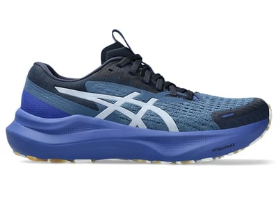 ASICS GT-2000 14 ‘Lite-Show’ 1012B901-400 01