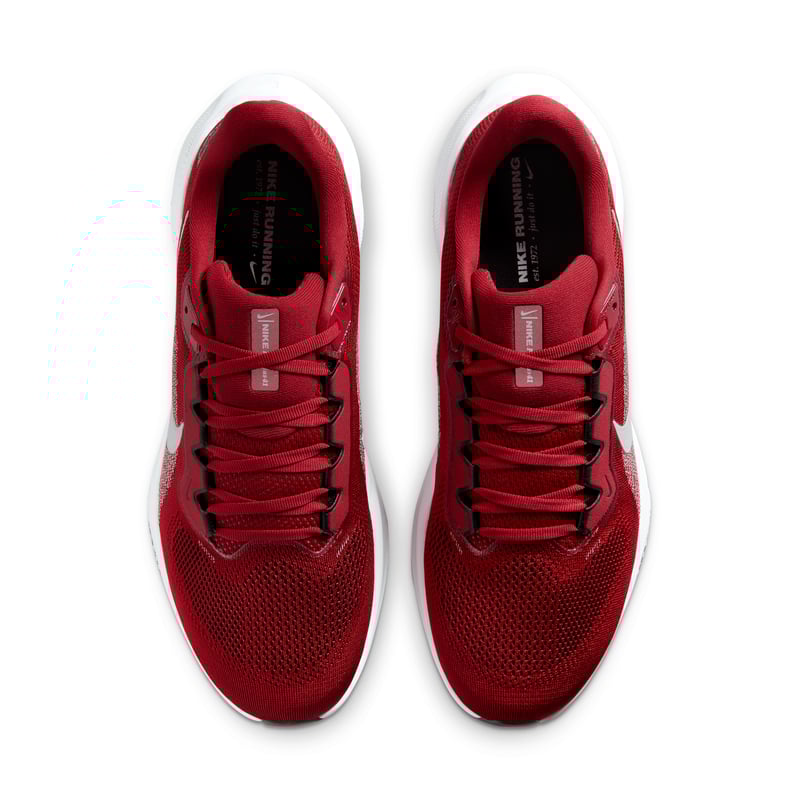 Nike Pegasus 41 IB3191-600 04