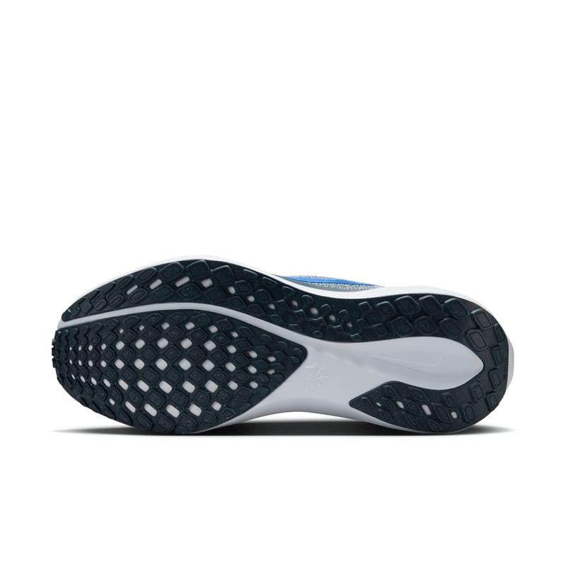 Nike Pegasus 41 FD2723-006 02