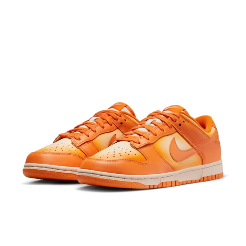Nike Dunk Low DX2953-800 05
