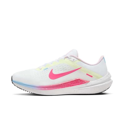 Nike Winflo 10 FZ3973-100