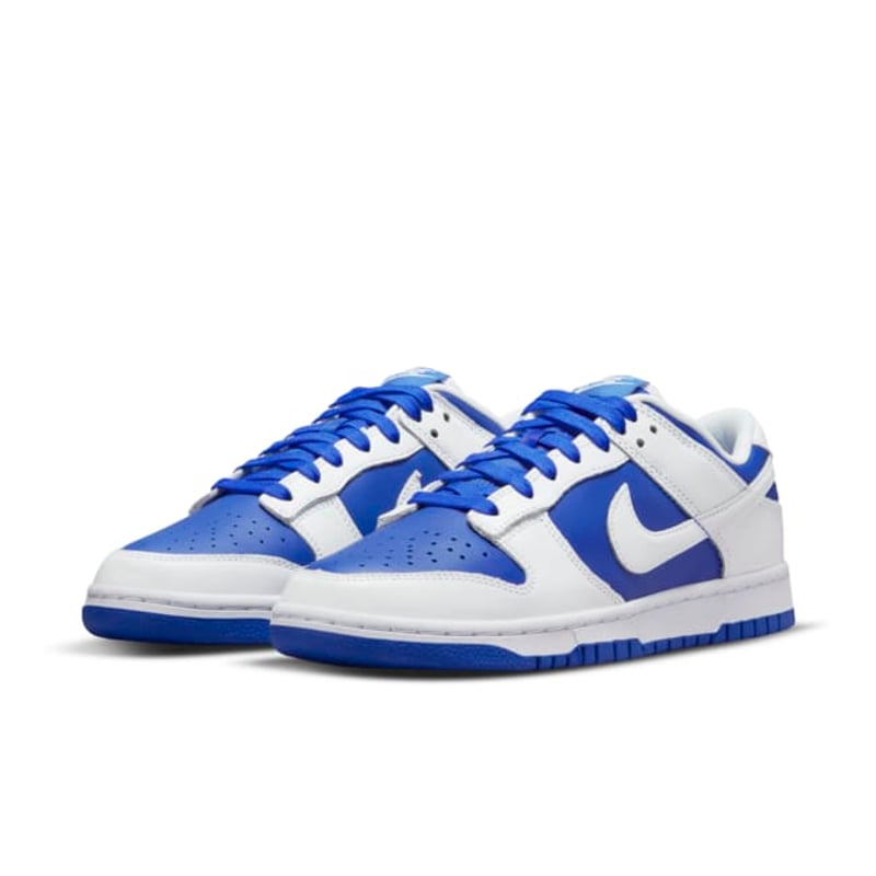 Nike Dunk Low DD1391-401 05