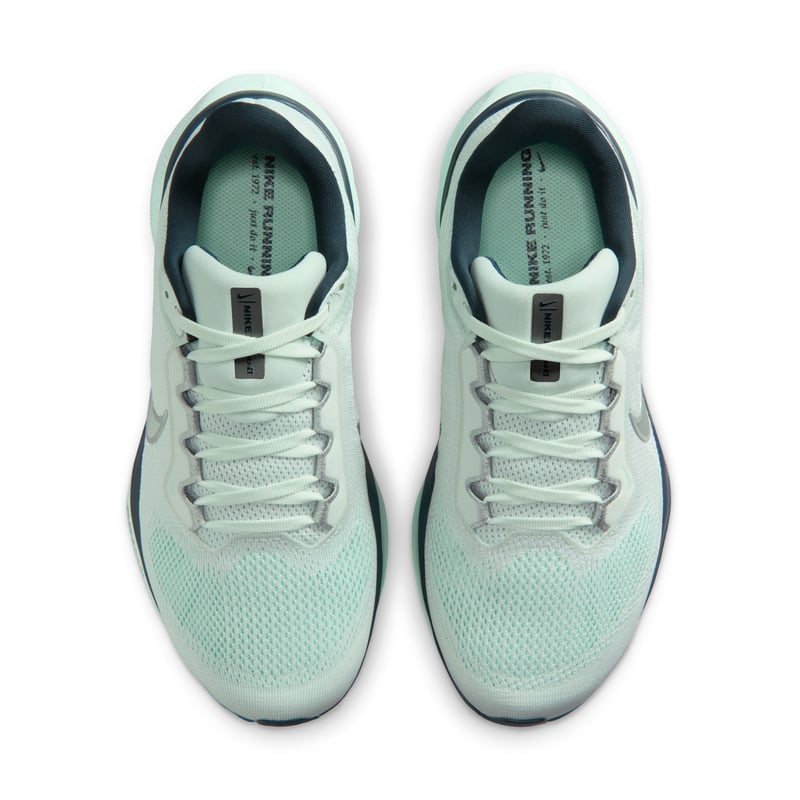 Nike Pegasus 41 (Wide) FQ0965-401 04
