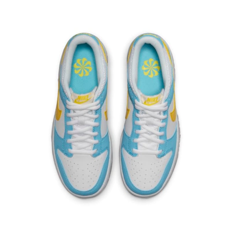 Nike Dunk Low DX3382-400 04