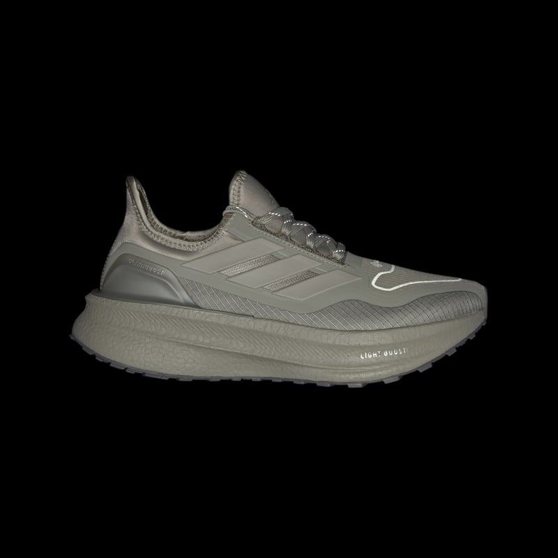 adidas Ultraboost 5 GORE-TEX JS2840 02