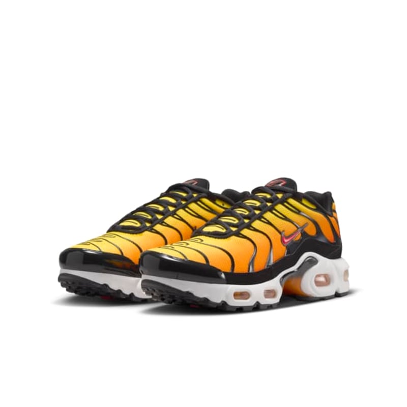 Nike Air Max Plus CD0609-029 05