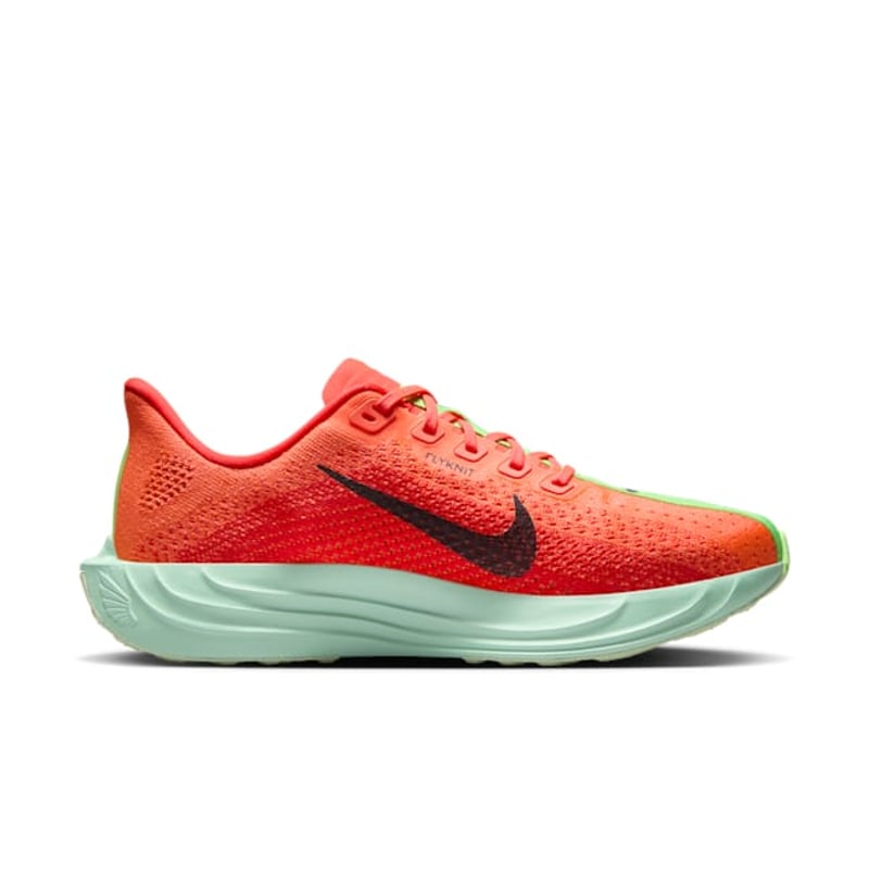 Nike Pegasus Plus FQ7261-600 03
