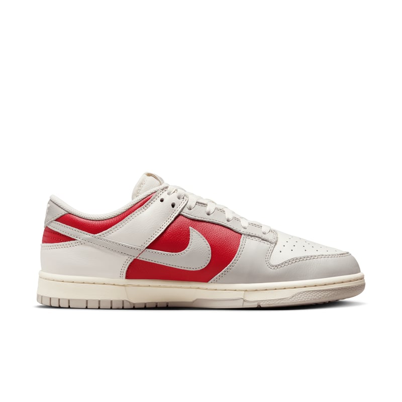 Nike Dunk Low Retro HJ9093-030 03