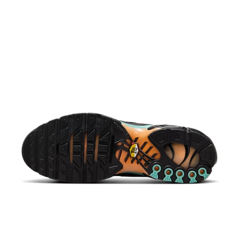 Nike Air Max Plus DM0032-022 02