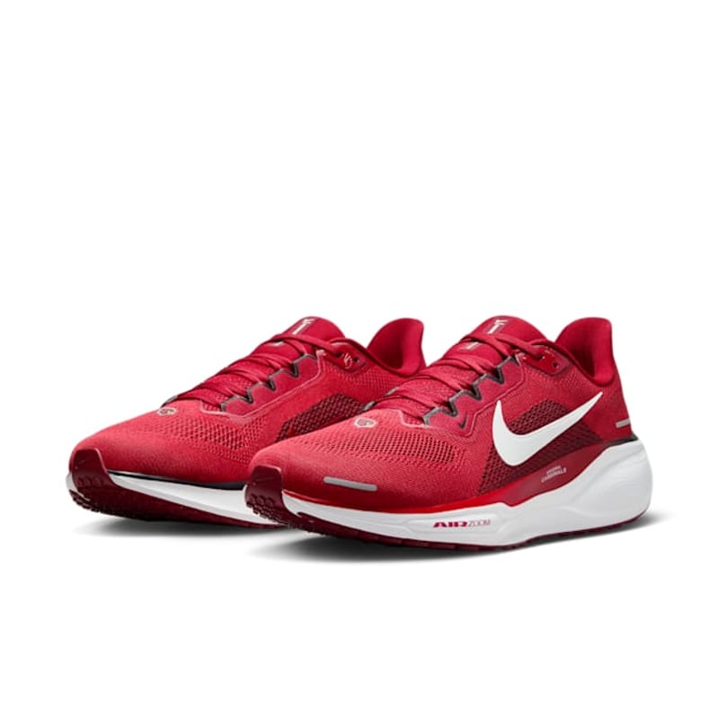 Nike Pegasus 41 x NFL FZ5077-600 05