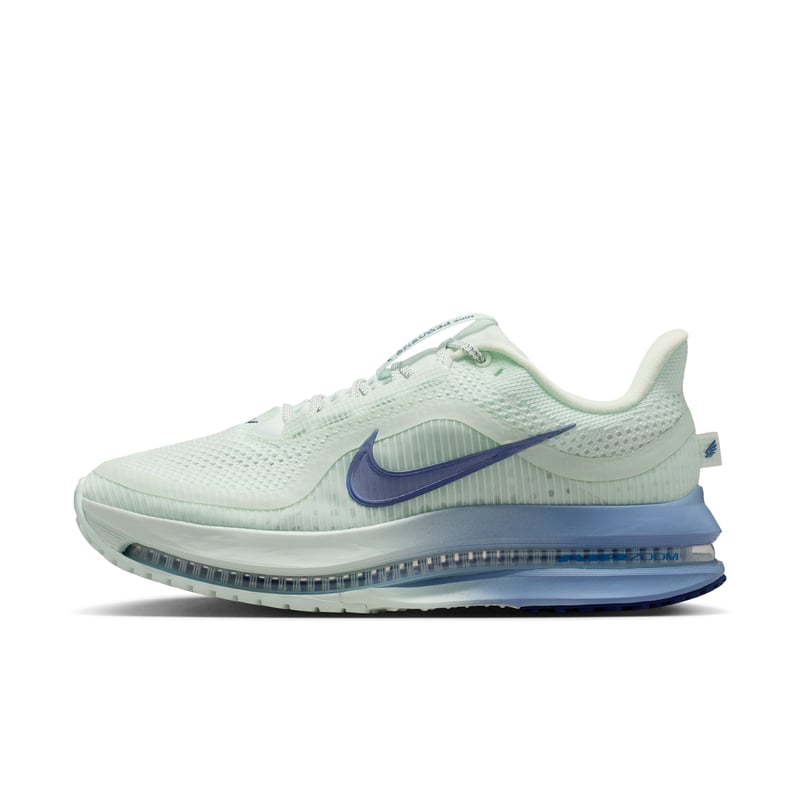 Nike Pegasus Premium HQ2593-301 01