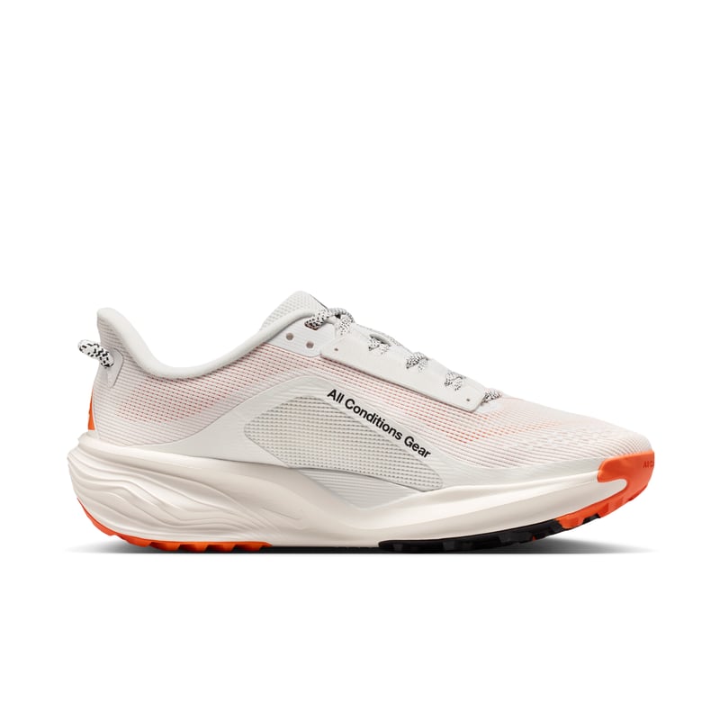 Nike ACG Pegasus HV8121-103 03