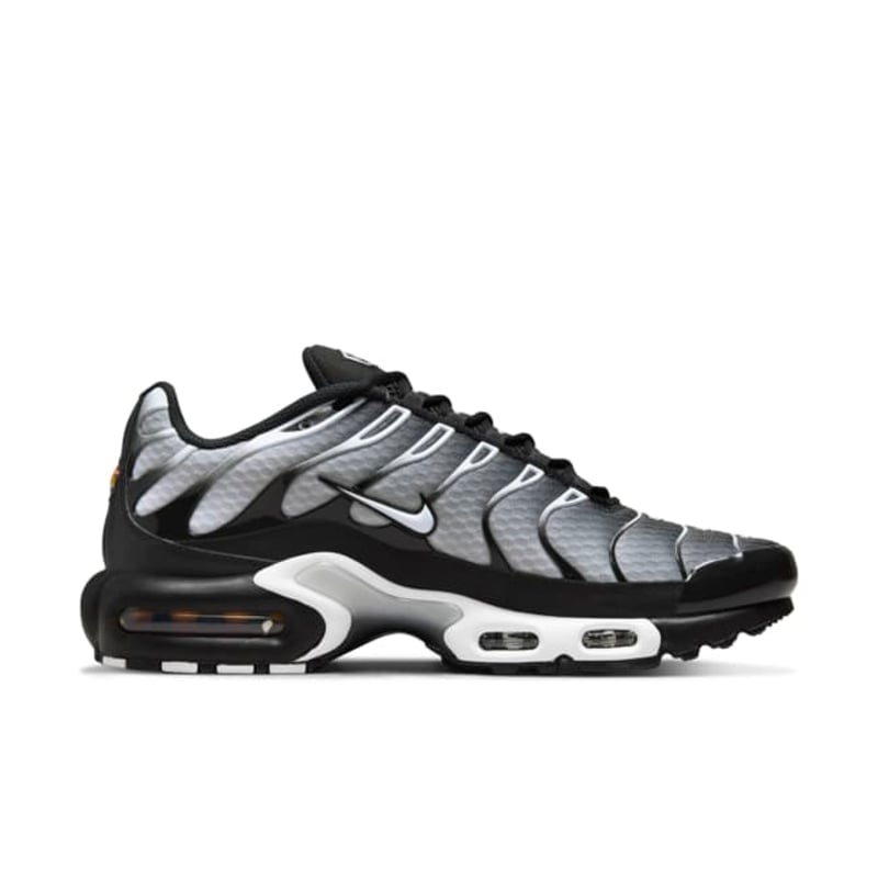 Nike Air Max Plus DM0032-003 04
