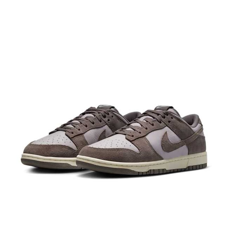 Nike Dunk Low Retro SE FQ8249-001 05