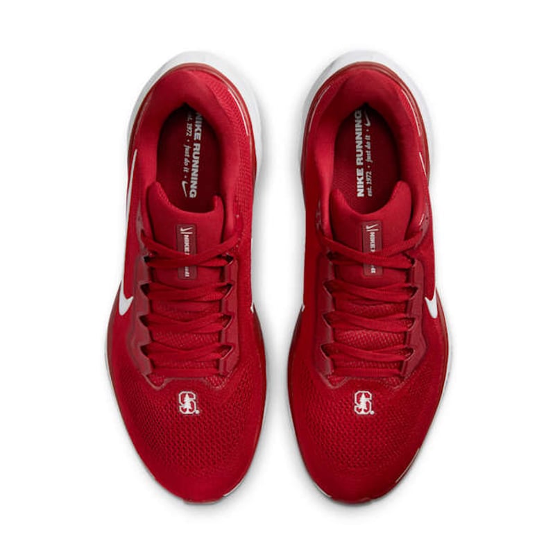 Nike Pegasus 41 FZ5142-600 04