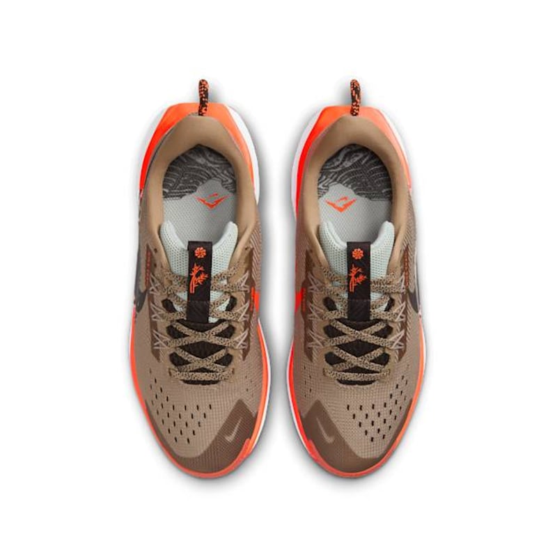 Nike Pegasus Trail 5 FV5638-200 04