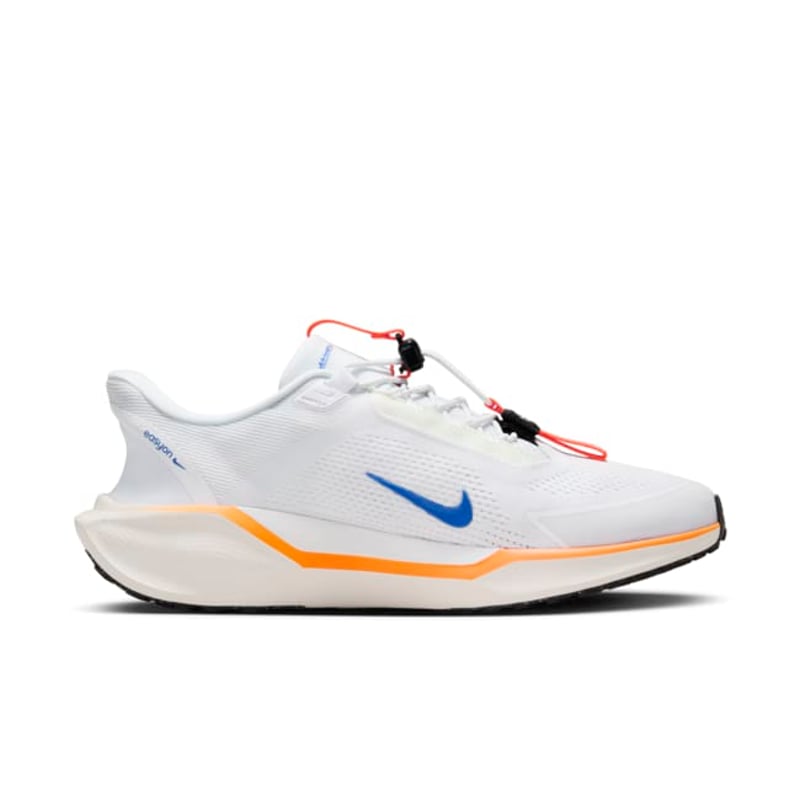 Nike Pegasus EasyOn HM0374-900 04