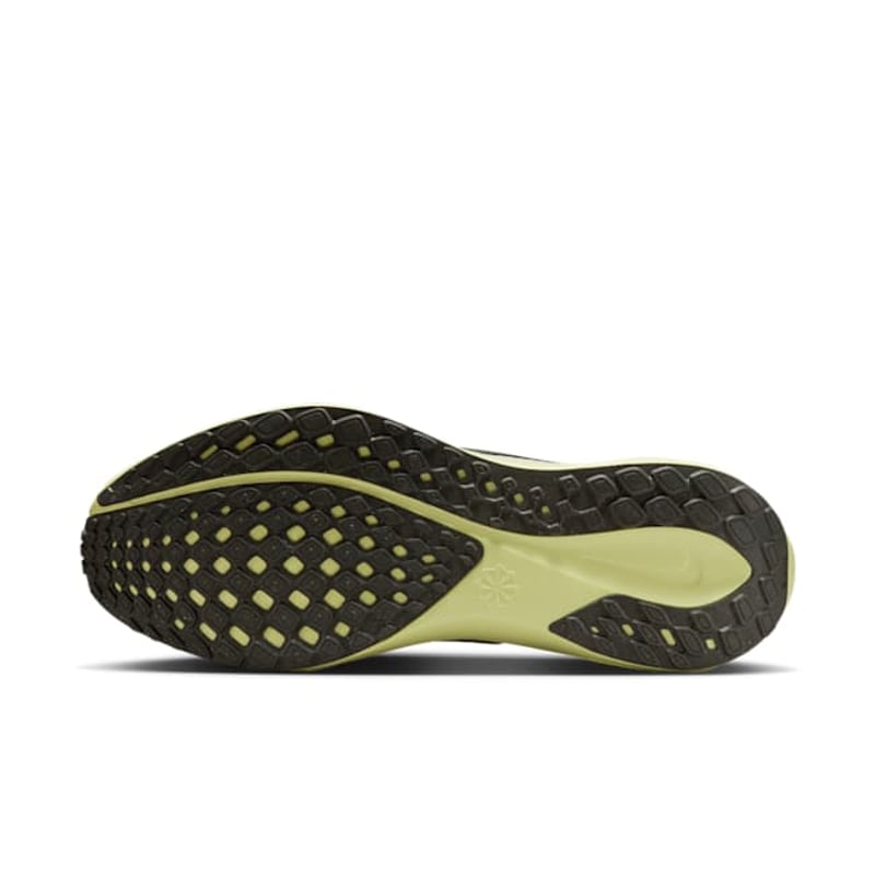 Nike Pegasus 41 FD2722-109 02