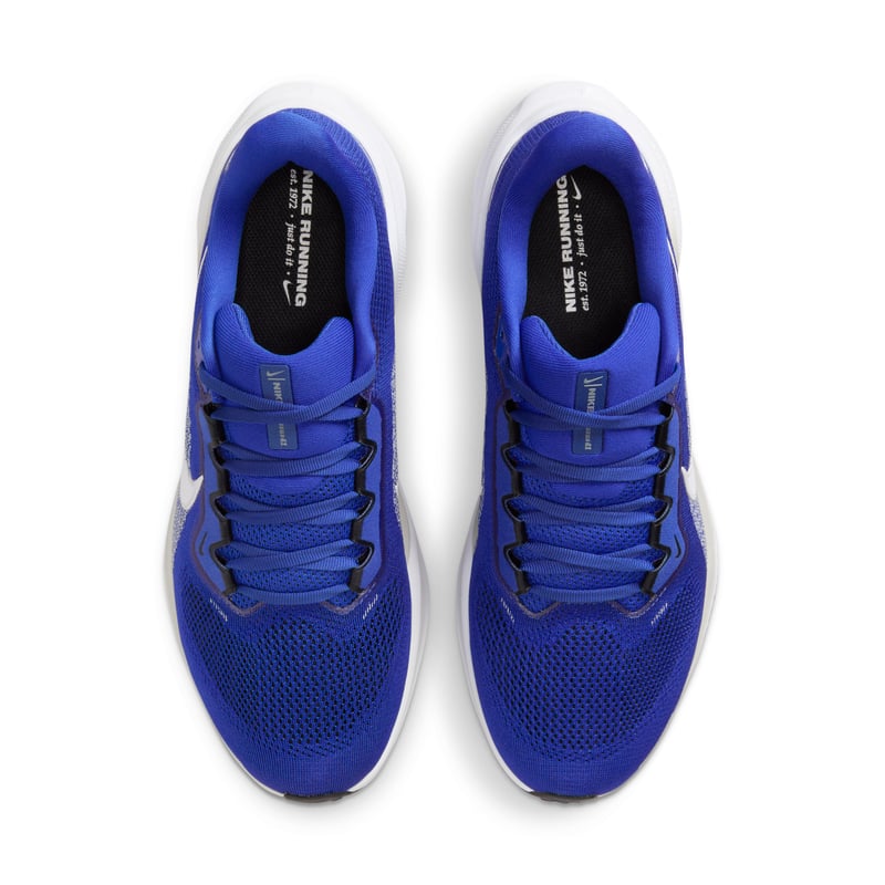 Nike Pegasus 41 IB3266-400 04