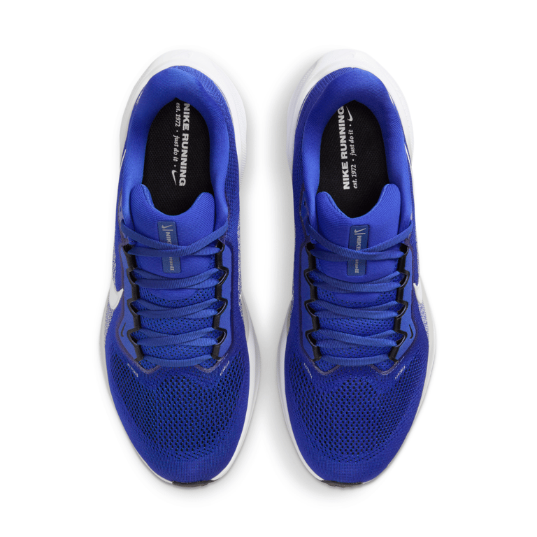 Nike Pegasus 41 IB3266-400 04