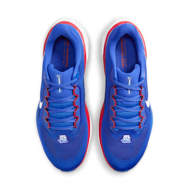 Nike Pegasus 41 FZ5146-400 04