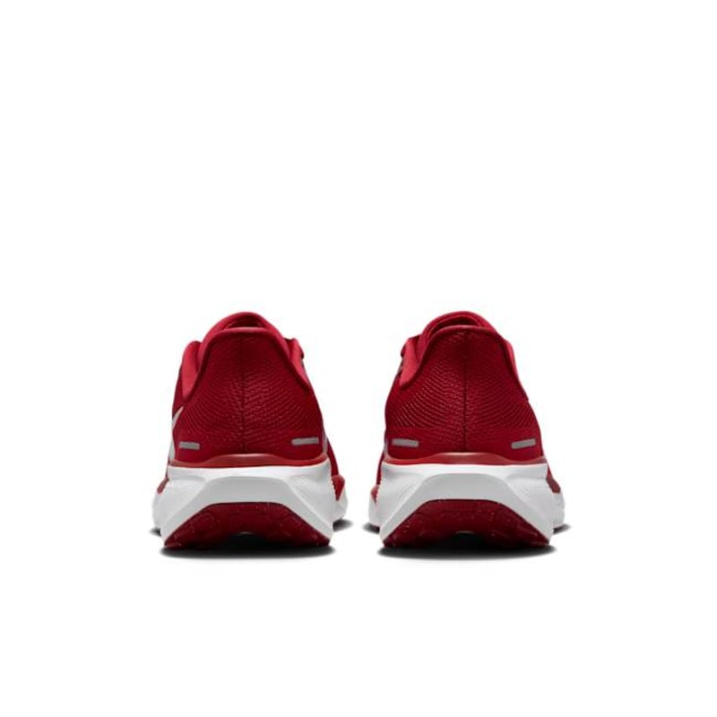 Nike Pegasus 41 FZ5142-600 06