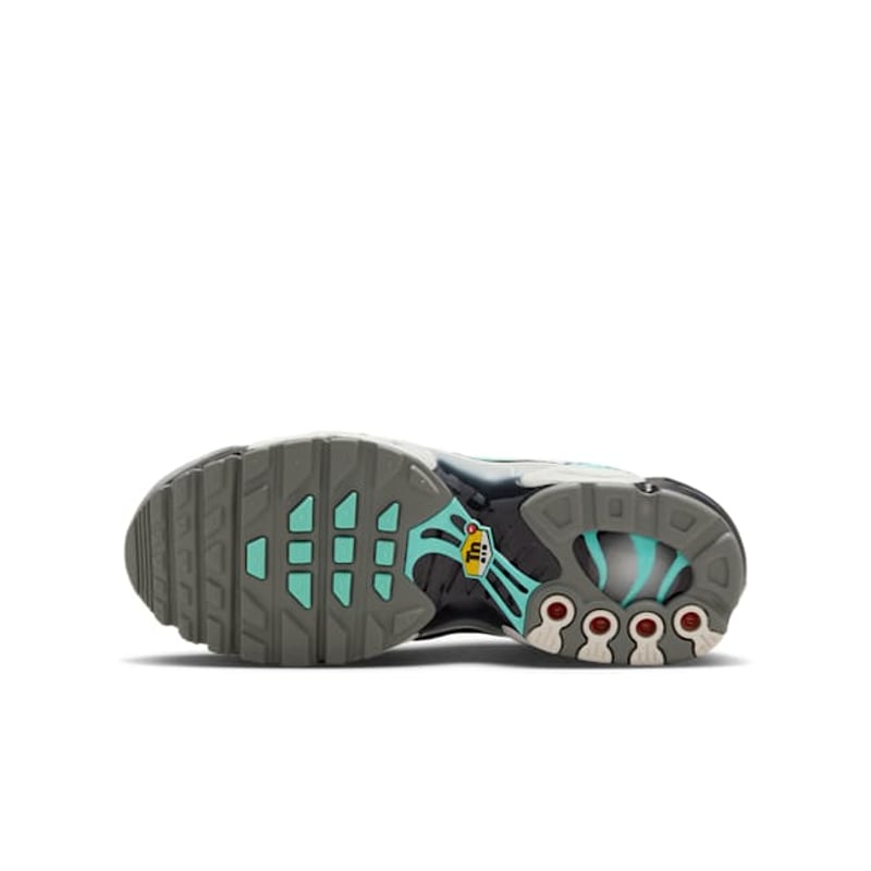 Nike Air Max Plus IB2869-100 02