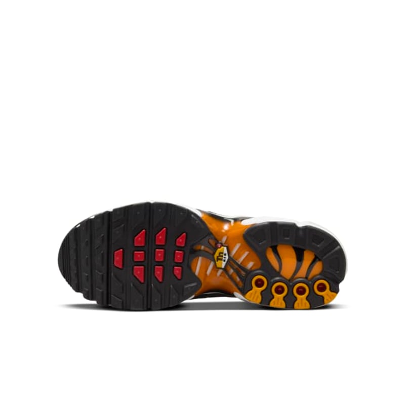 Nike Air Max Plus CD0609-029 02