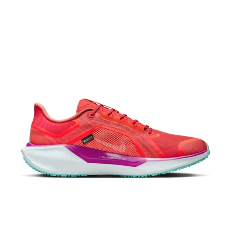 Nike Pegasus 41 GORE-TEX HM8872-600 03