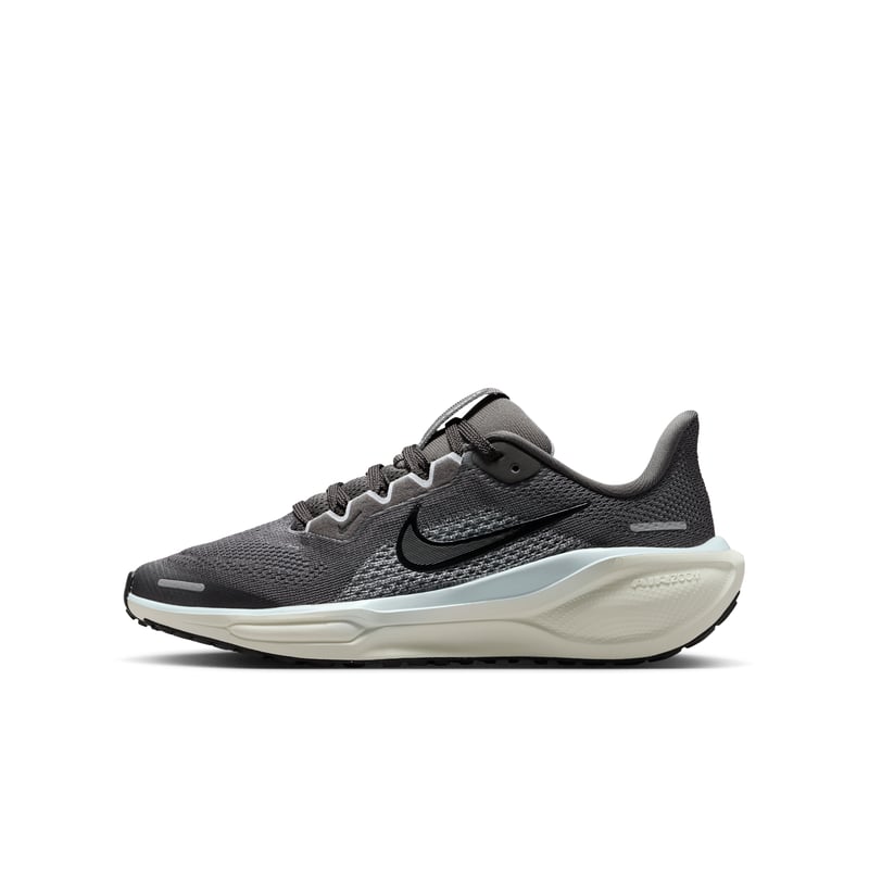 Nike Pegasus 41 FN5041-201 01