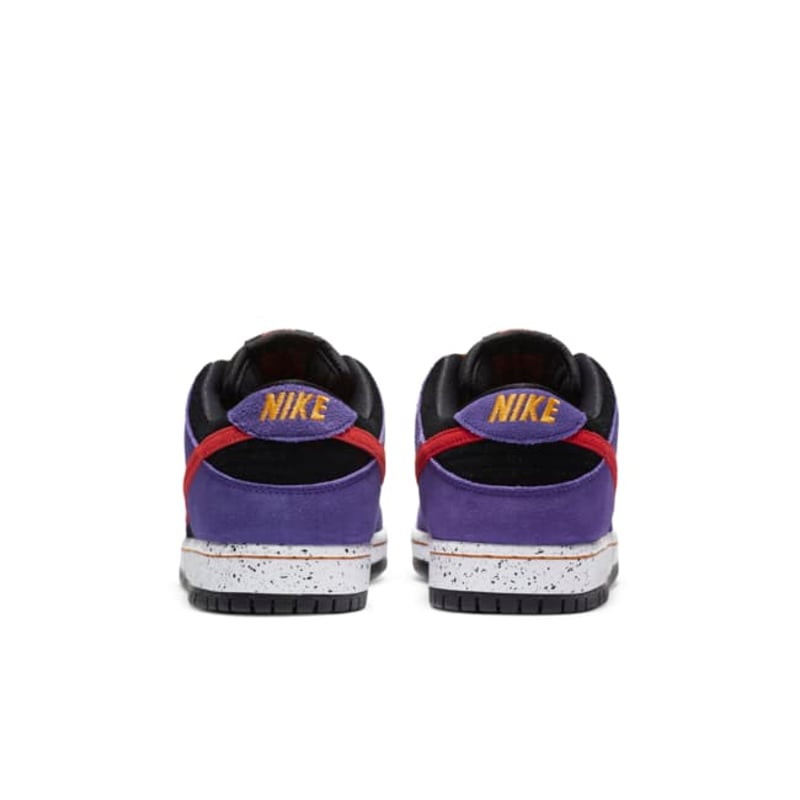Nike SB Dunk Low Pro ACG BQ6817-008 06
