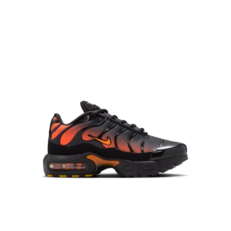 Nike Air Max Plus FZ0023-041 03