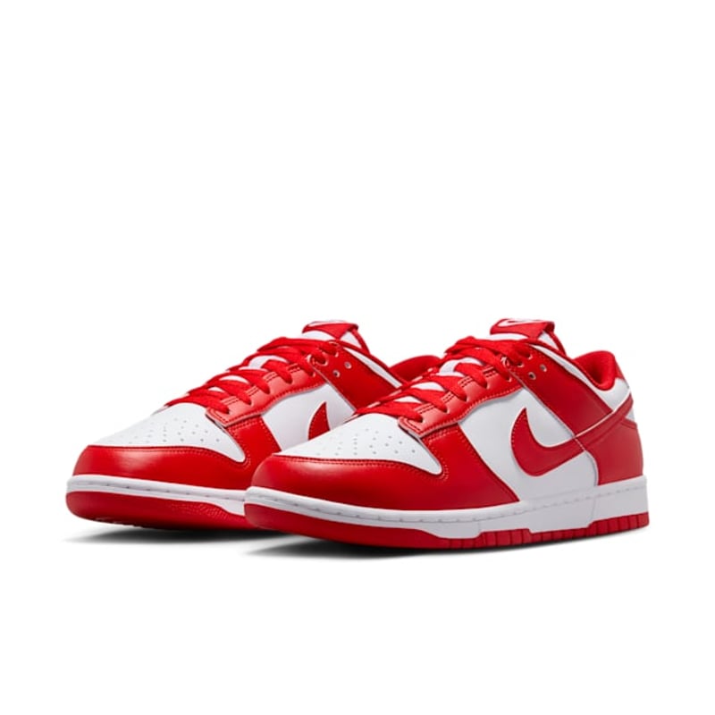 Nike Dunk Low HF5441-104 05