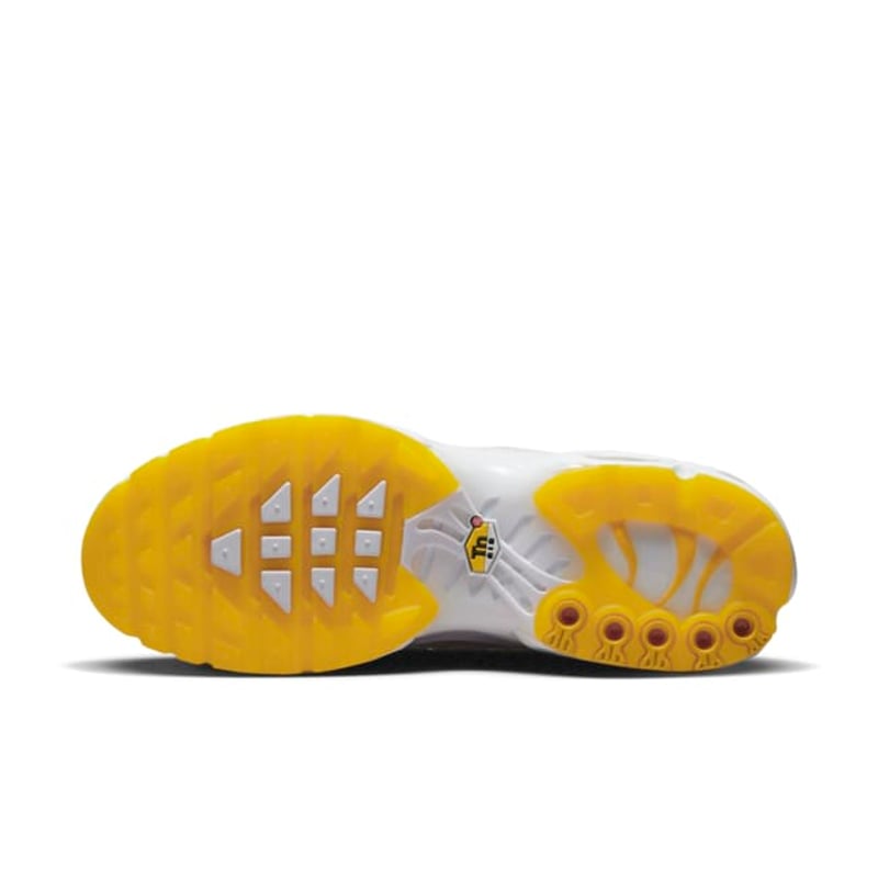 Nike Air Max Plus SE DQ8960-100 02