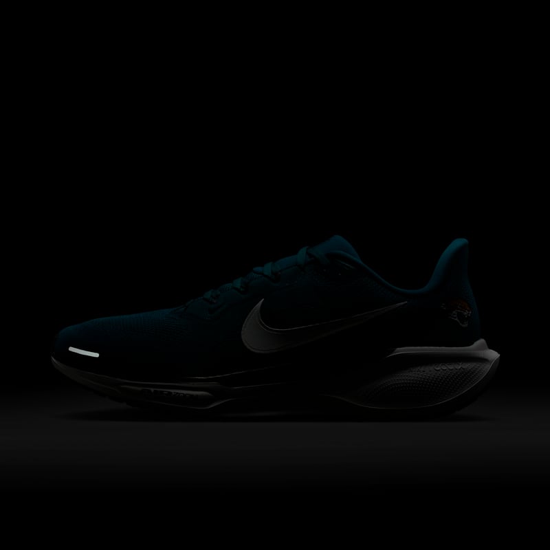 Nike Pegasus 41 x NFL IB3196-400 09